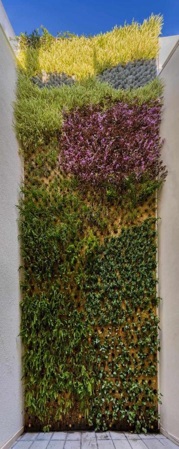 Nature By Raidom Alicante Exterior photo